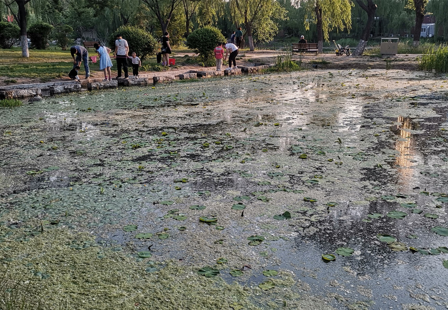 （黨報熱線幫你辦） %0A小湄河河面咋漂浮(2694381)-20220523101502.jpg